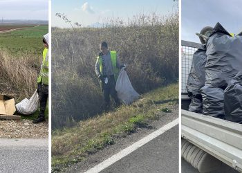 11 tone de gunoaie adunate de pe marginea drumurilor judeţene dinTimiş