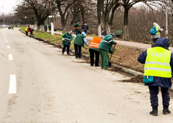 Curățenia de toamnă, stabilită pentru luna noiembrie