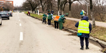 Curățenia de toamnă, stabilită pentru luna noiembrie