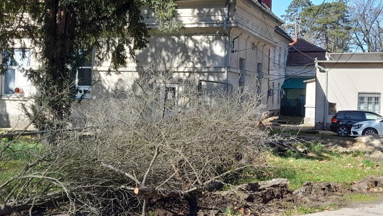 Pentru comunitate! Succesul celei de-a doua acțiuni de voluntariat la spital pregătește o a treia ediție